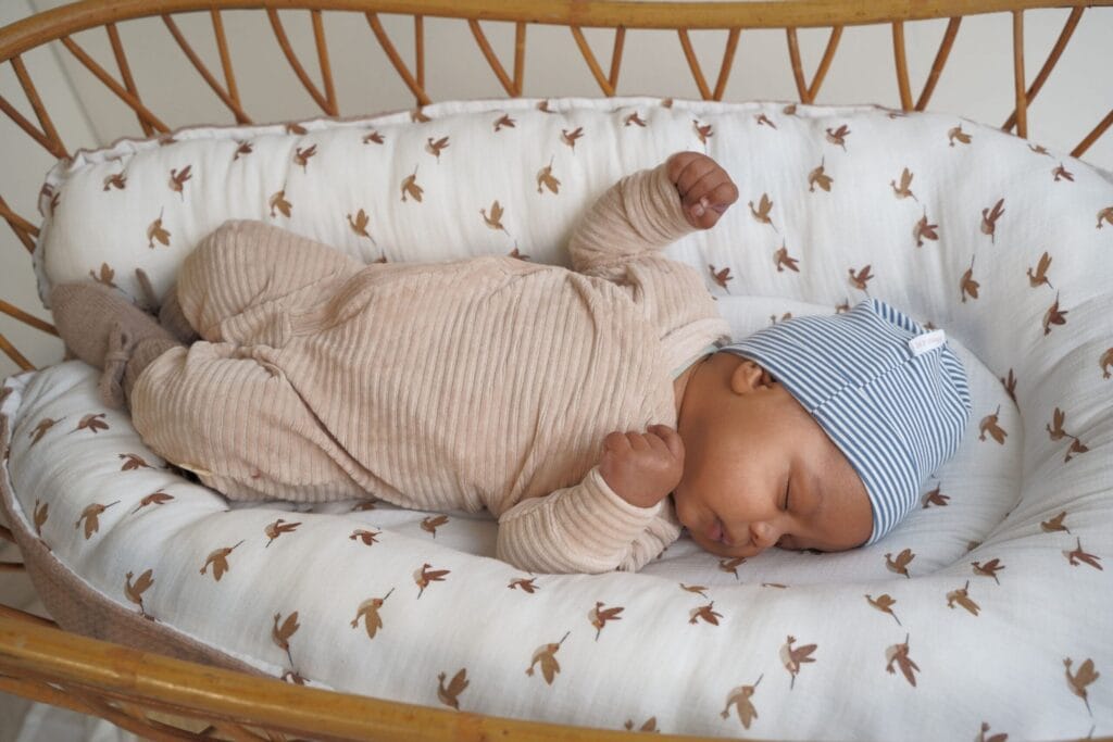 Babynestje | vogeltjes