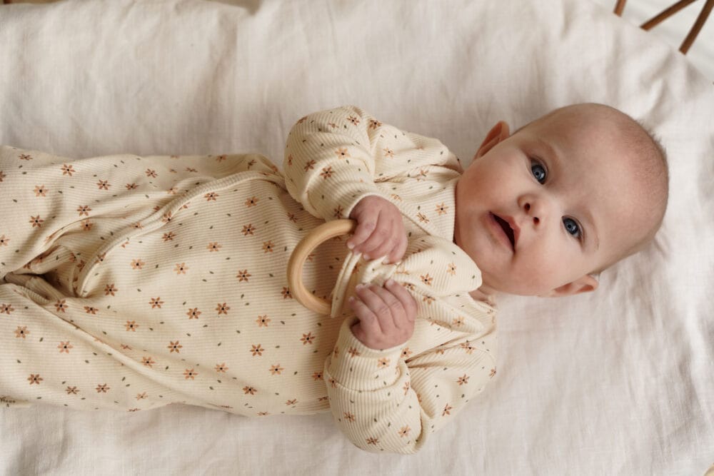 Boxpakje | starflower (rib)