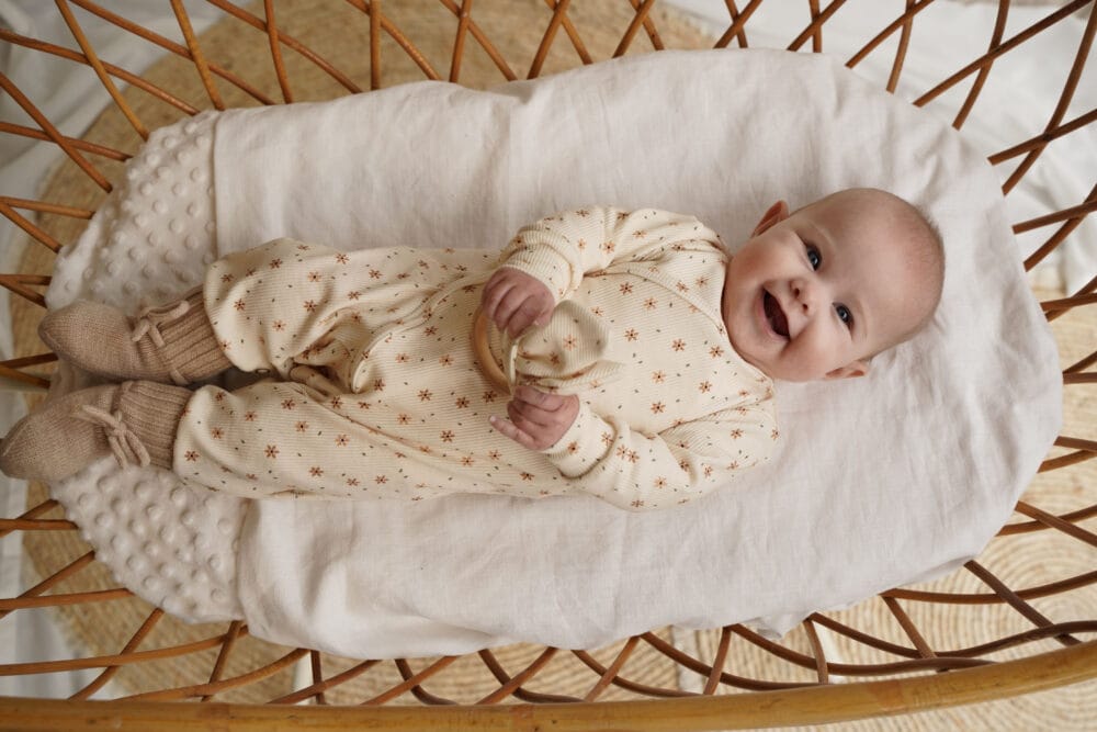 boxpakje-starfower-rib