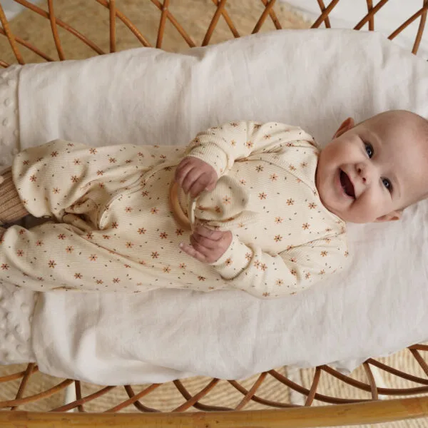 boxpakje-starfower-rib