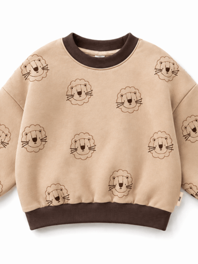 Sweater leeuwen